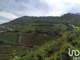 Terrain agricole à Vila Seca e Santo Adrião