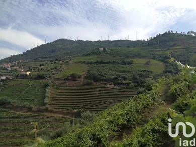 Farm land  in Vila Seca e Santo Adrião