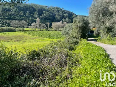 Terrain  à Santo Isidoro