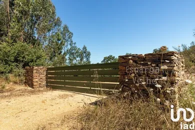 Terreno em São Salvador e Santa Maria