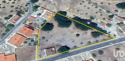 Fotografia 8 de Casa com espaço comercial 12 quartos de 1145 m² em Portalegre