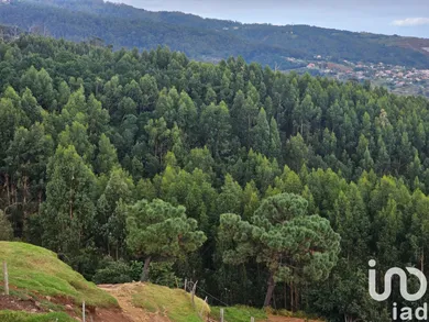 Terreno  em Santa Cruz