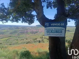 Terrain à Freixo de Espada à Cinta e Mazouco