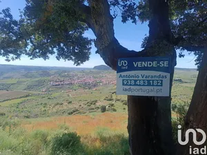 Land  in Freixo de Espada à Cinta e Mazouco