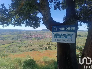 Terreno em Freixo de Espada à Cinta e Mazouco