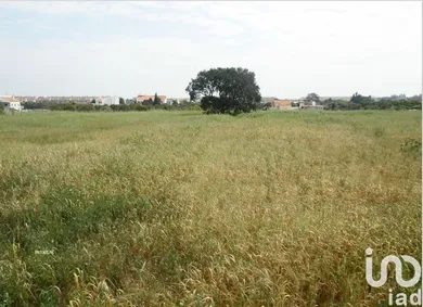 Terreno  em Alcochete
