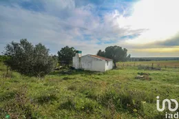 Ferme à Assunção