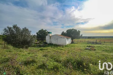 Ferme  à Assunção