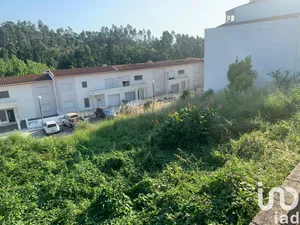 Land  in Luso