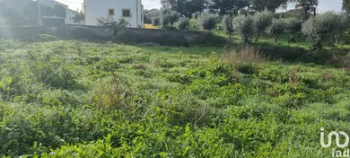 Land  in Tolosa