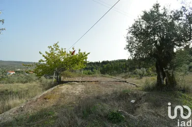 Terreno  em Alvorge