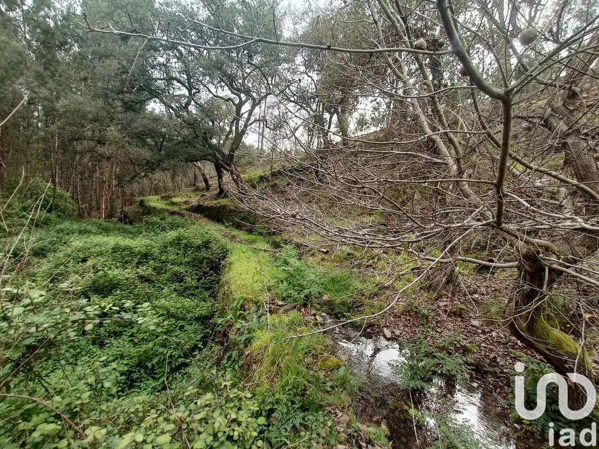 Terreno de 4580 m² em Graça