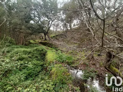 Fotografia 1 de Terreno de 4580 m² em Graça