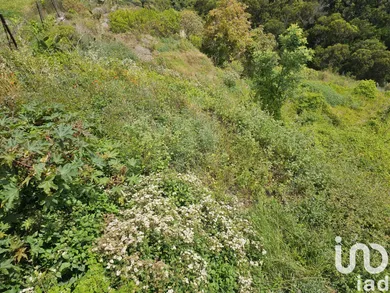 Land in Gaula
