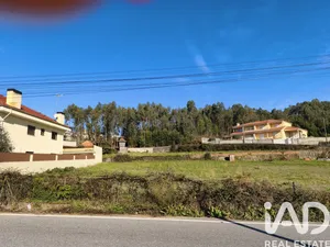 Land  in Canedo, Vale e Vila Maior