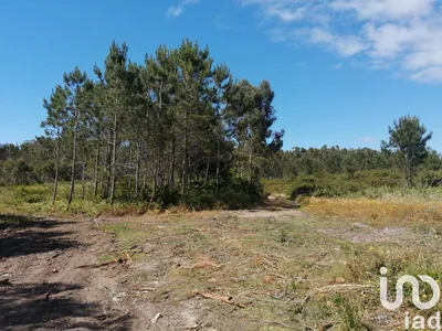 Fotografia 5 de Terreno urbano de 668 m² em Caldas da Rainha