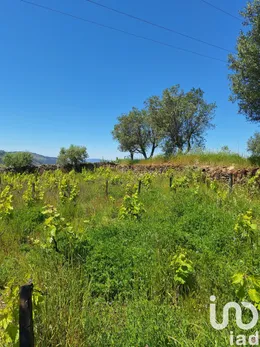 Terrain  à Tabuaço