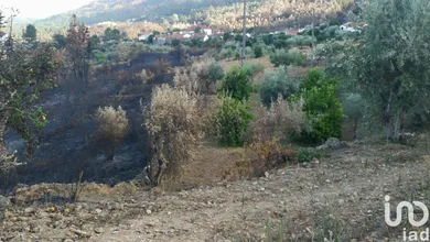 Terrain à Montes da Senhora