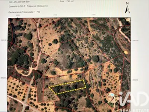 Terreno em Boliqueime