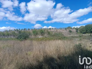 Farm land at Azinhoso