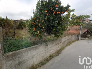 Terreno em Fontelas