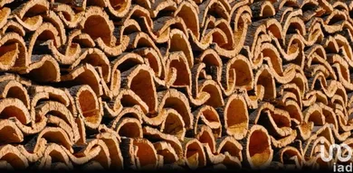 Terreno em Grândola e Santa Margarida da Serra