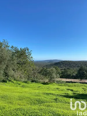 Terrain agricole   à São Brás de Alportel