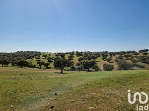 Terreno rústico  em Alcaria Ruiva