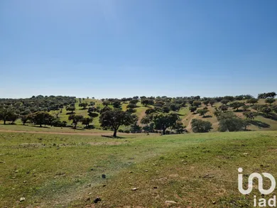 Farm land  in Alcaria Ruiva