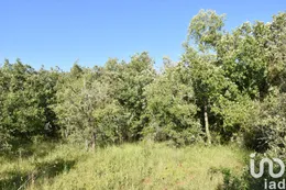 Terreno em Areias e Pias