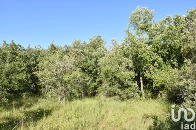 Terreno  em Areias e Pias