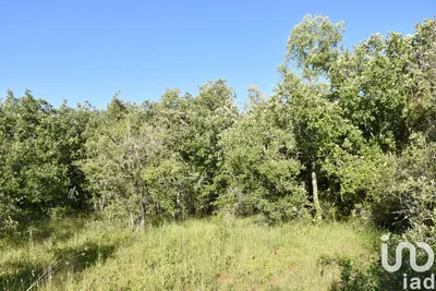Fotografia 3 de Terreno de 1440 m² em Areias e Pias