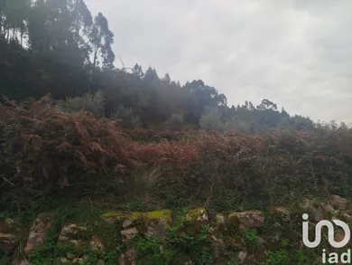 Land at Penacova