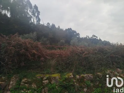 Fotografia 1 de Terreno de 885 m² em Penacova
