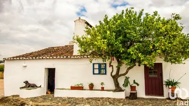 Quinta  em Terrugem E Vila Boim