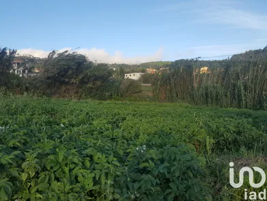 Land  in Ponta do Pargo