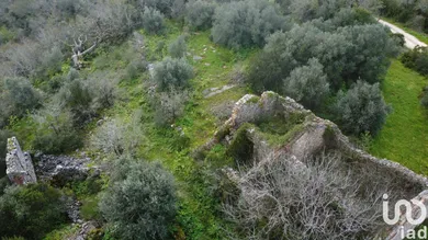 Terreno  em Chãos
