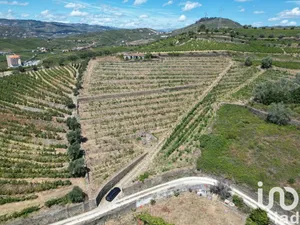 Casa de campo em Peso da Régua e Godim