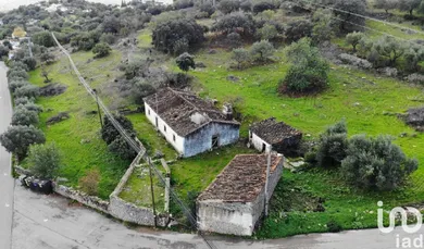 Farm in São Brás de Alportel