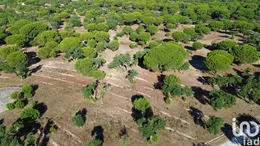 Terreno urbano  em Montargil