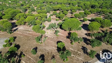 Terreno urbano  em Montargil
