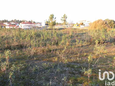 Terrain  à Asseiceira