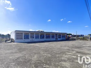 Warehouse at Aveiras de Baixo