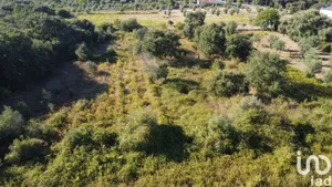 Terreno em Areias e Pias