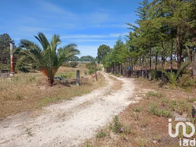 Land at Ponte de Sor, Tramaga e Vale de Açor