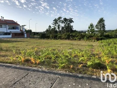 Land  in Vieira de Leiria