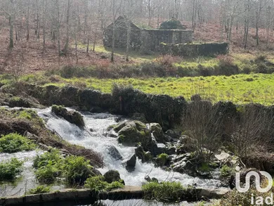 Land at Carvalhais e Candal