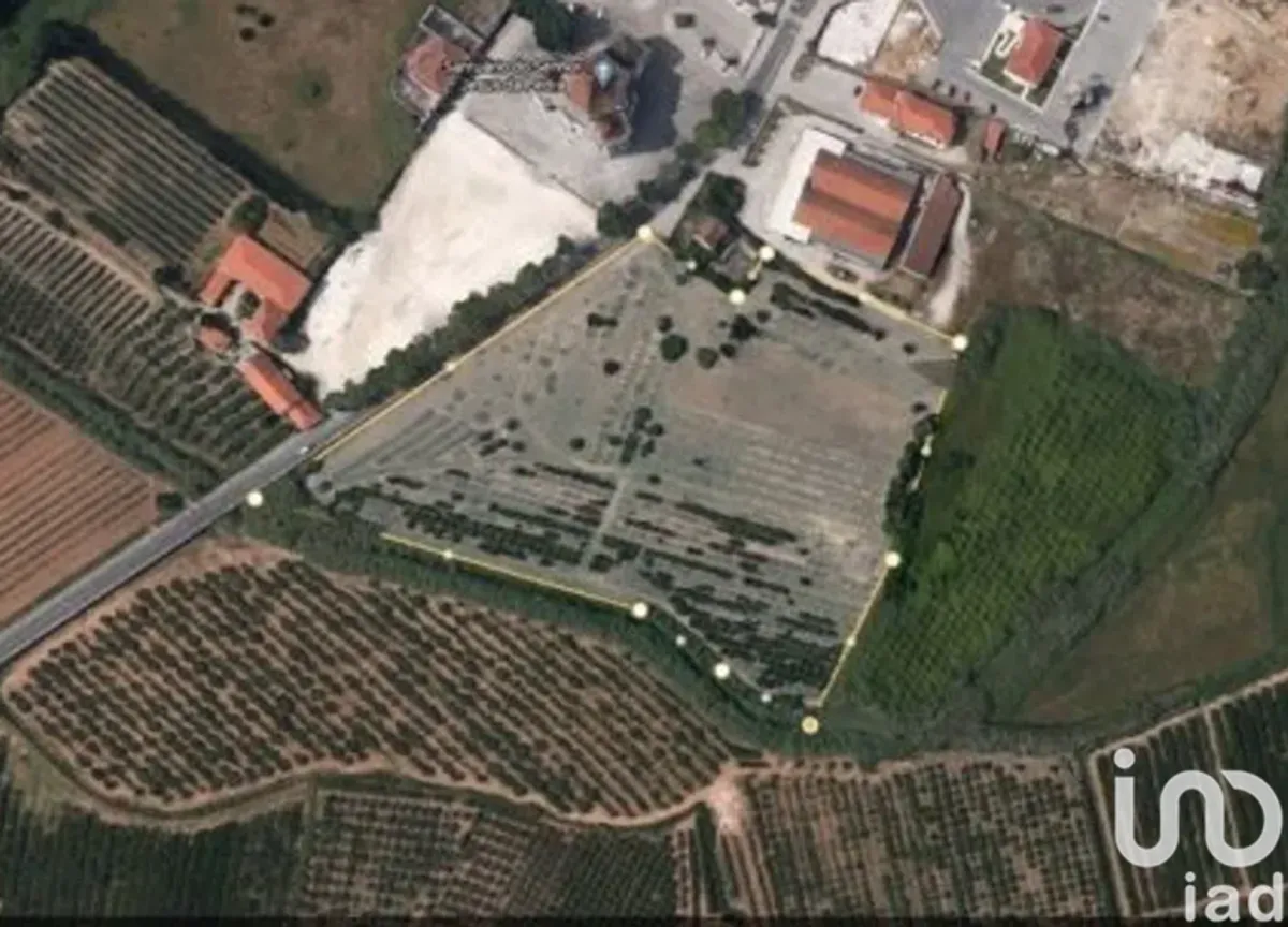 Terreno de 24 000 m² em Santa Maria, São Pedro e Sobral da Lagoa