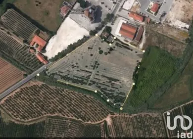 Terreno em Santa Maria, São Pedro e Sobral da Lagoa