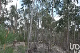 Terreno em Rio de Couros e Casal dos Bernardos